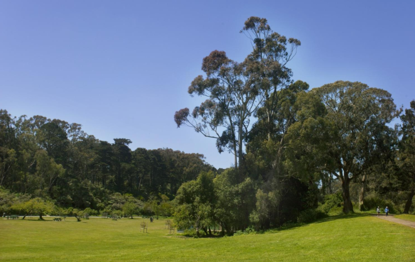 Neighborhood Neighborhood-1